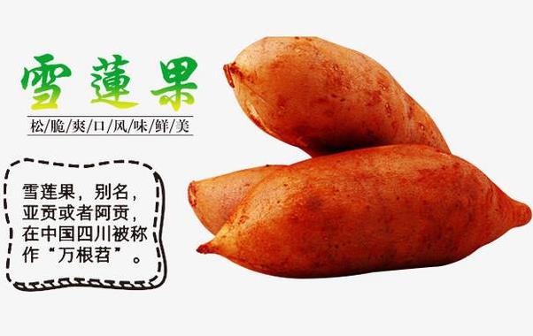 雪莲果有什么功效及作用？雪莲果的吃法大全（雪莲果营养知识）