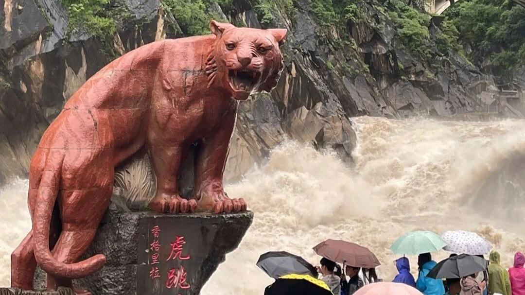 虎跳峡出现不明生物?当地回应