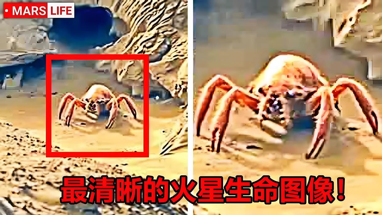 NASA明确发现火星生命迹象