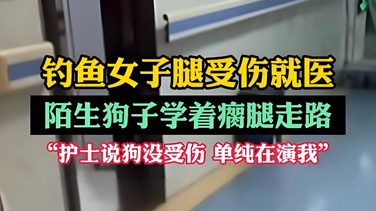 女子腿伤就医被陌生狗子瘸腿学步