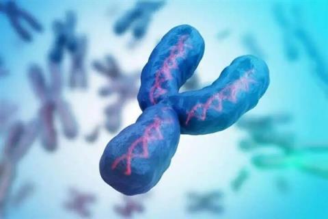 1000多万年后 Y染色体可能要消失 到时男性会怎么样(图2)