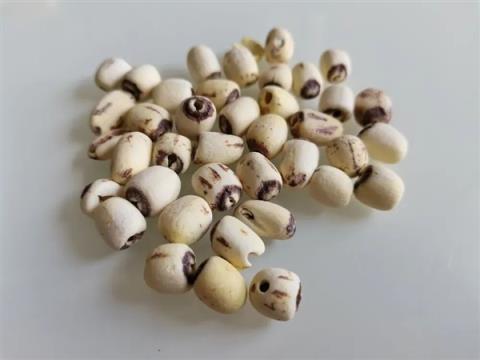 高碳水却低GI的应季美食：三高也能放心吃！错过后悔一年(图4)