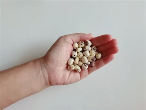 高碳水却低GI的应季美食：三高也能放心吃！错过后悔一年(图5)