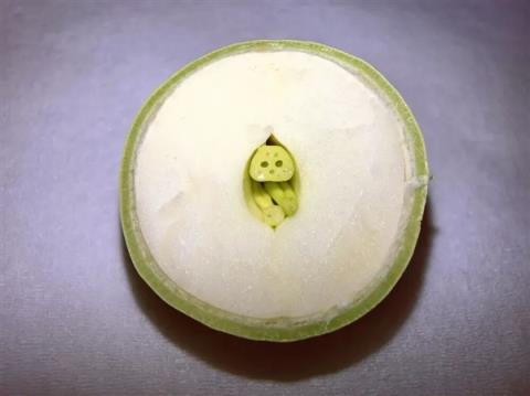 高碳水却低GI的应季美食：三高也能放心吃！错过后悔一年(图8)