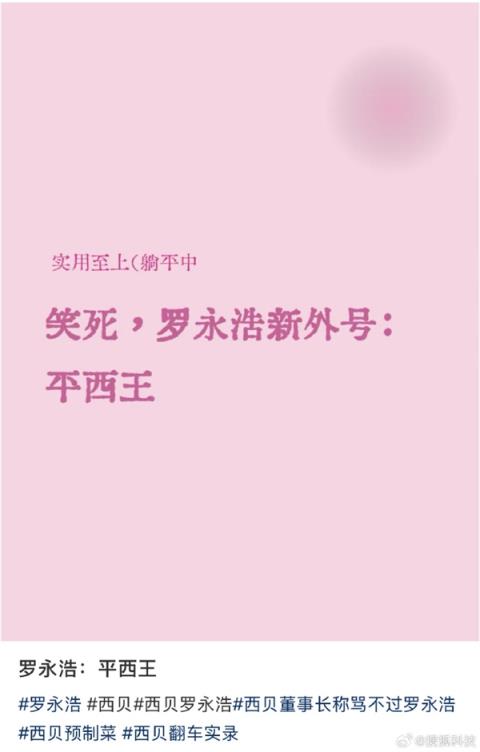 网友赐罗永浩平西王外号：2011年曾一锤砸掉西门子几亿市值(图1)