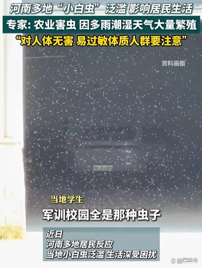 河南多地遭“小白虫”侵袭?冷空气将成“救星”?