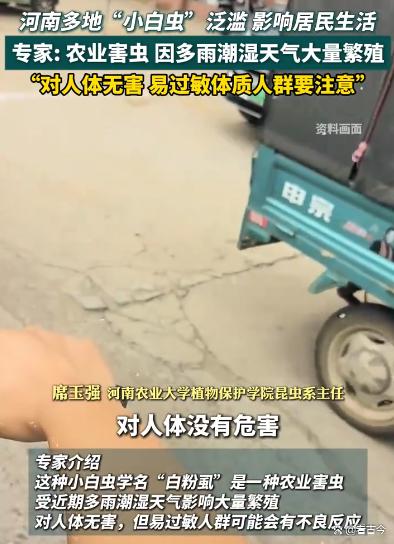 河南多地遭“小白虫”侵袭?冷空气将成“救星”?
