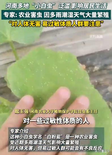 河南多地遭“小白虫”侵袭?冷空气将成“救星”?