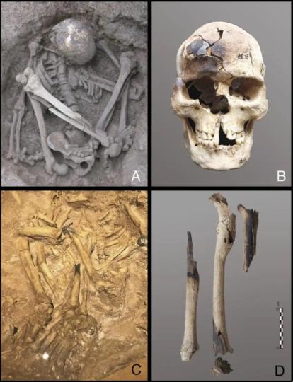世界已知最古老！东南亚惊现1.2万年前木乃伊(图2)