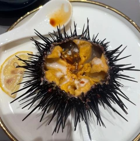 全身都是肉还没有肌间刺 蛇为何进化到如此适合人类食用(图4)