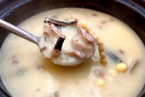 全身都是肉还没有肌间刺 蛇为何进化到如此适合人类食用(图6)