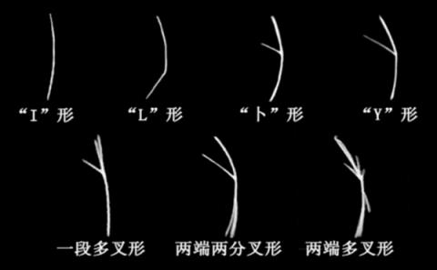 全身都是肉还没有肌间刺 蛇为何进化到如此适合人类食用(图8)