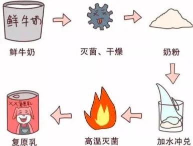 被纯牛奶禁掉的复原乳 是什么科技狠活吗(图3)