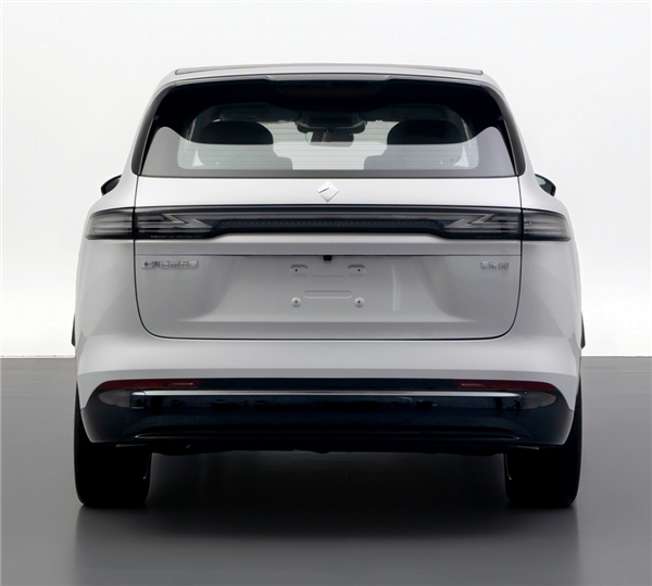 看完这批工信部的新车 我觉得合资和新势力两极反转了-图17 看完这批工信部的新车 我觉得合资和新势力两极反转了-图17