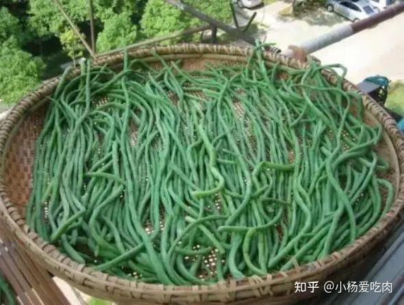 腌酸豆角的制作方法怎么做好吃？教你正确做法，豆角酸香脆爽(图4)