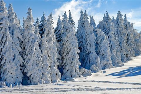 东北已经下雪了！“中国最冷小镇”开启8个月供暖季