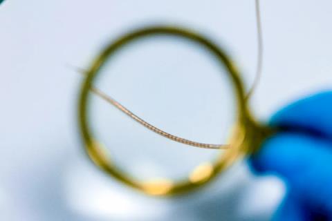 中国科学家研发“神经蠕虫”：如头发丝般纤细 可在颅内游走