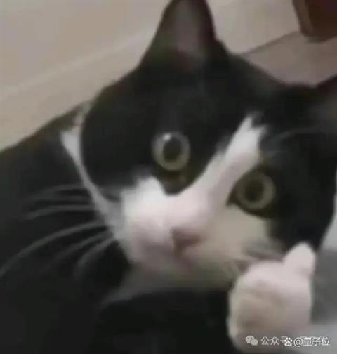 AI芯片独角兽一年估值翻番！放话“三年超英伟达”(图2)