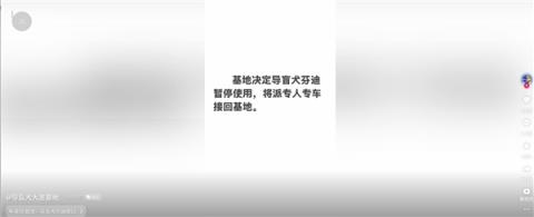 两名盲人带导盲犬爬泰山引争议：网友呼吁将狗狗收回(图3)