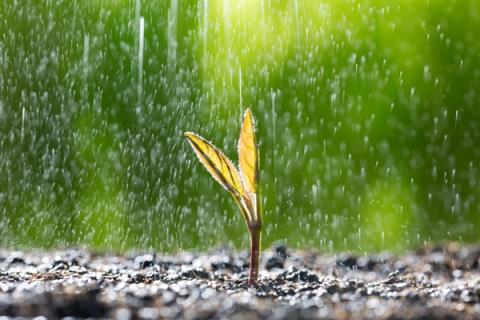 暴雨+雷暴大风 这些地方注意防范(图1)