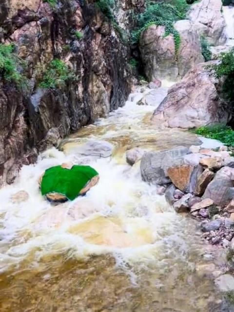 河南嵩山景区石头彩绘“巨型蛇头”已被覆盖：被指吓到人 原石已经有亿年历史