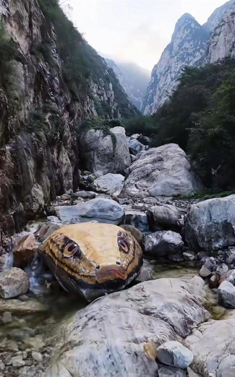 河南嵩山景区石头彩绘“巨型蛇头”已被覆盖：被指吓到人 原石已经有亿年历史(图2)