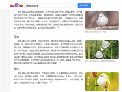 浑身圆滚滚 世界最萌小鸟之一！看完心情能好一整天(图7)