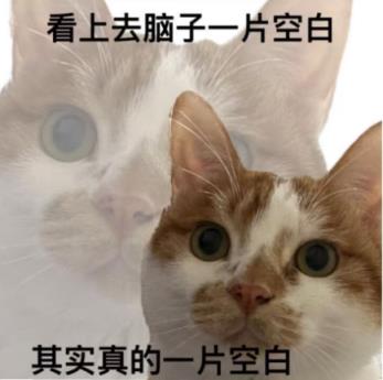 时隔快一百年 胖东来又把自有品牌带火了(图5)