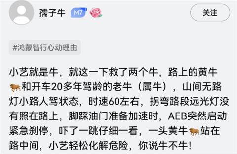 问界M7夜间山路偶遇大黑牛：暗光环境AEB一脚刹停(图5)