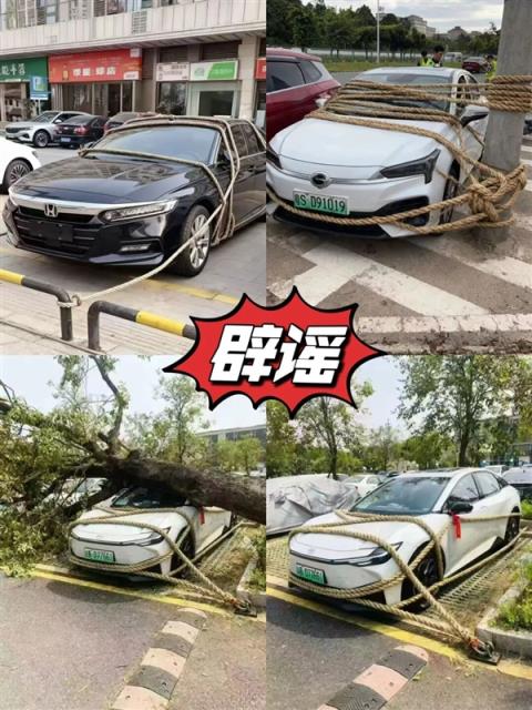 台风“桦加沙”来袭！官方辟谣：广东汽车被五花大绑是AI合成(图3)