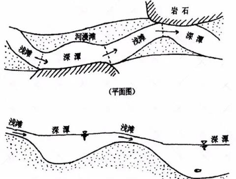 淡水鱼被冲入大海后去哪了 还能活吗(图3)