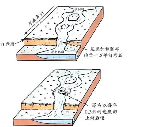 淡水鱼被冲入大海后去哪了 还能活吗(图5)