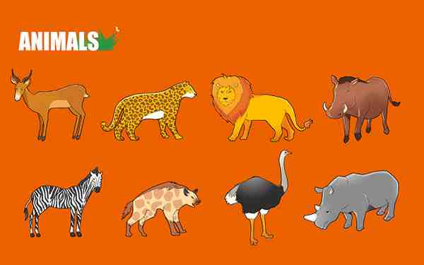 事业管理岗9级升为8级的条件