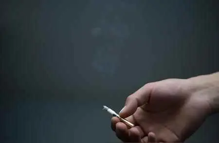 为什么抽不出烟的香味？烟草的香气成分