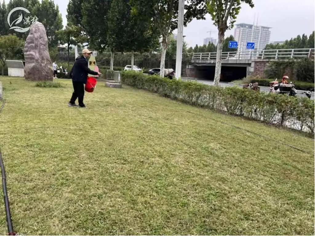 为什么绿化要施肥？草坪秋季为什么要施肥？施什么肥？