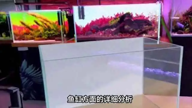 浮法玻璃为什么发绿？鱼缸玻璃选择哪种性价比最高