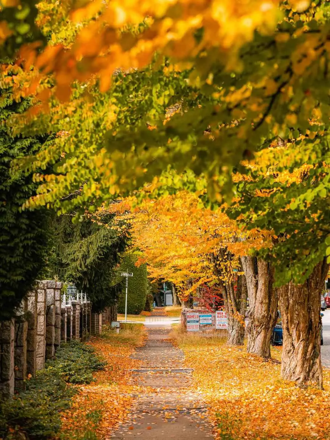 为什么秋季适合装修？为什么都会选择在秋天装修呢？