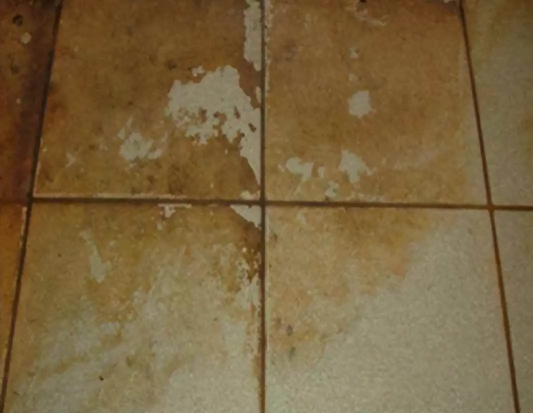 瓷砖为什么会有污垢？瓷砖水垢怎么去除