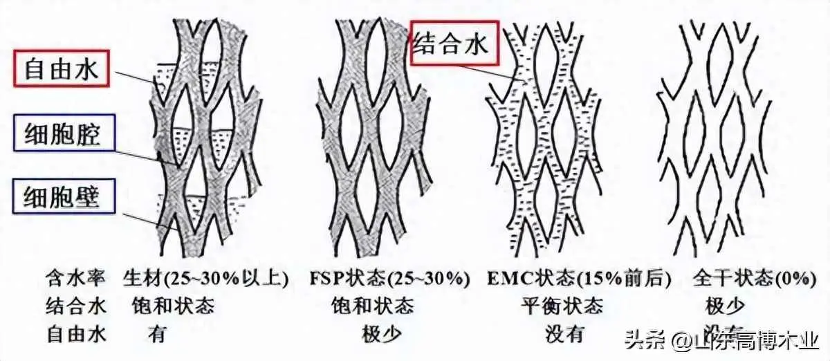 木片为什么会裂开？导致实木家具开裂的重要因素