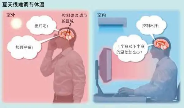为什么夏天特别累？为什么天气一热就会感到全身慵懒、疲倦无力？