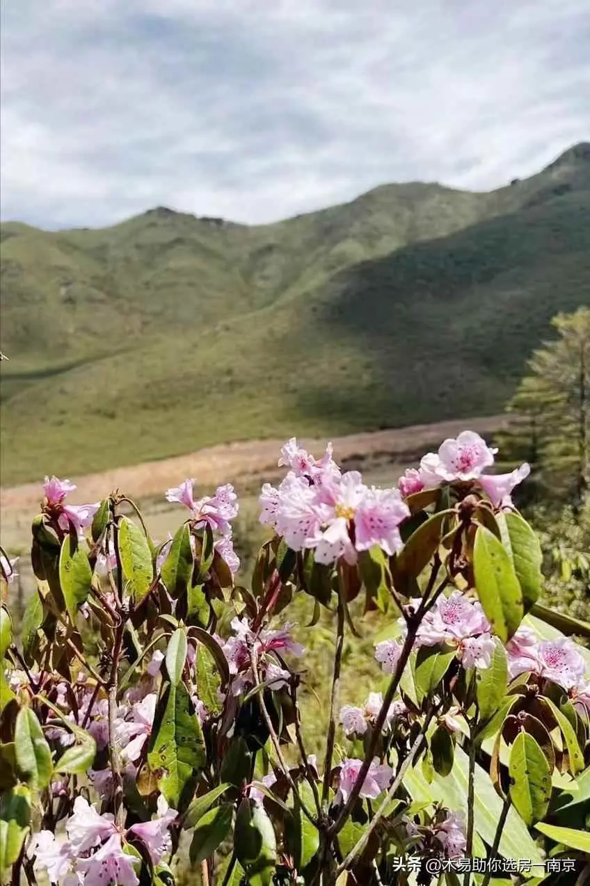 楼房为什么总是涨钱？房价为什么长期上涨