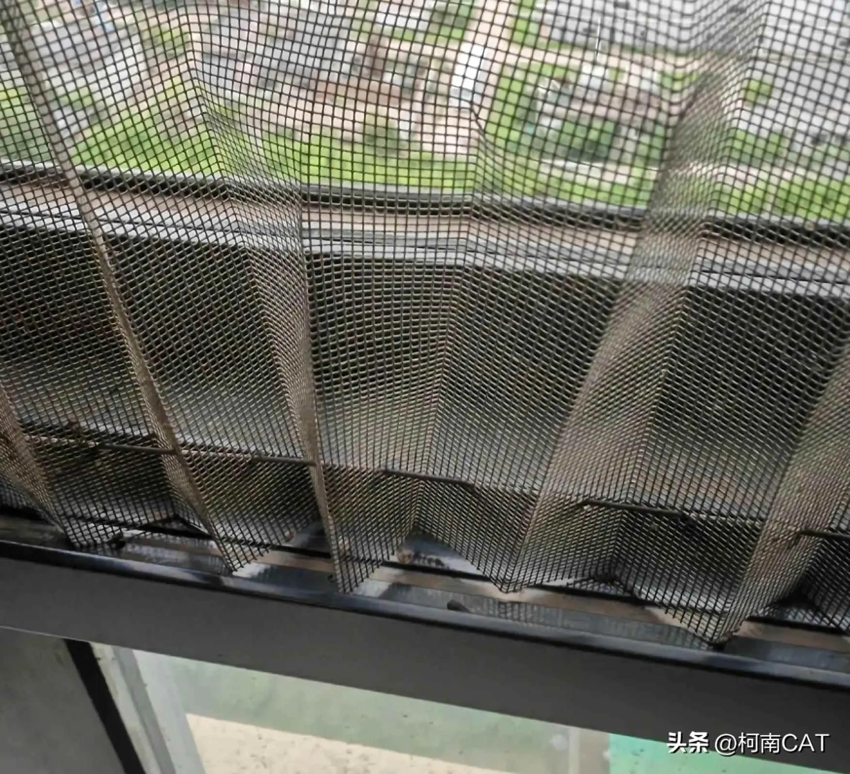 高层为什么会有苍蝇？高层蚊蝇哪里来？