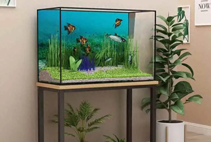 水族水泵为什么不会漏水？养鱼水泵的使用