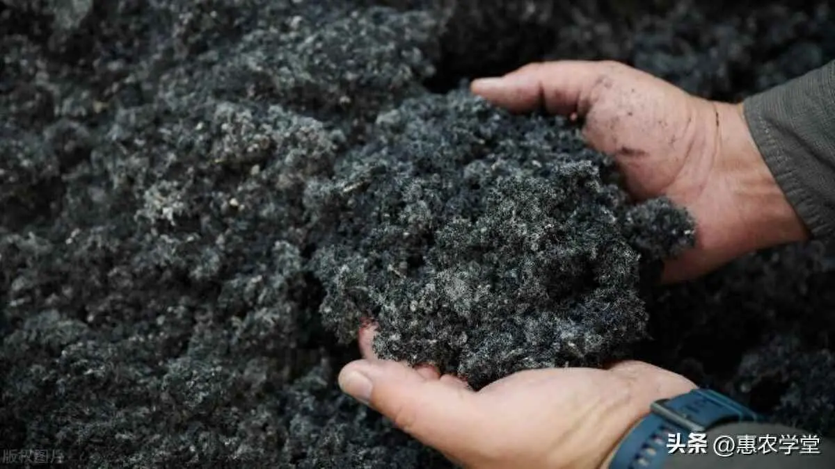 为什么禁止燃烧草木灰？草木灰不可以乱用！