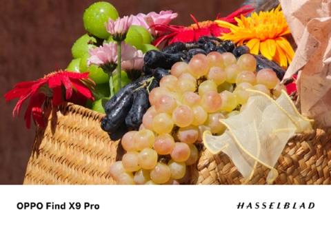 OPPOFindX9Pro核心配置曝光：天玑9500+2亿潜望(图2)