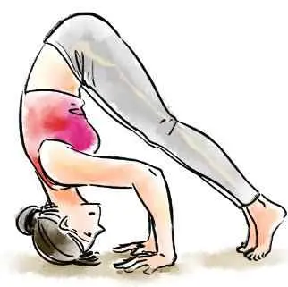 为什么倒挂头会恶心？头朝下，健康朝上