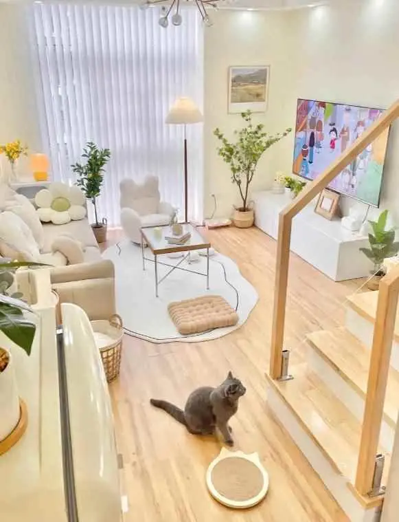 公寓为什么这么火呢？越来越多的年轻人买公寓