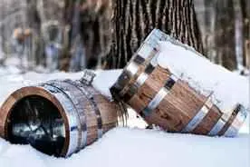 为什么橡木适合做酒桶？橡木桶的那些事