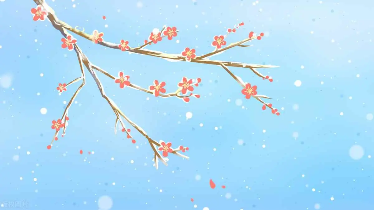 黑枣为什么无核？小雪至，冬伊始，健康佳酿如约而来