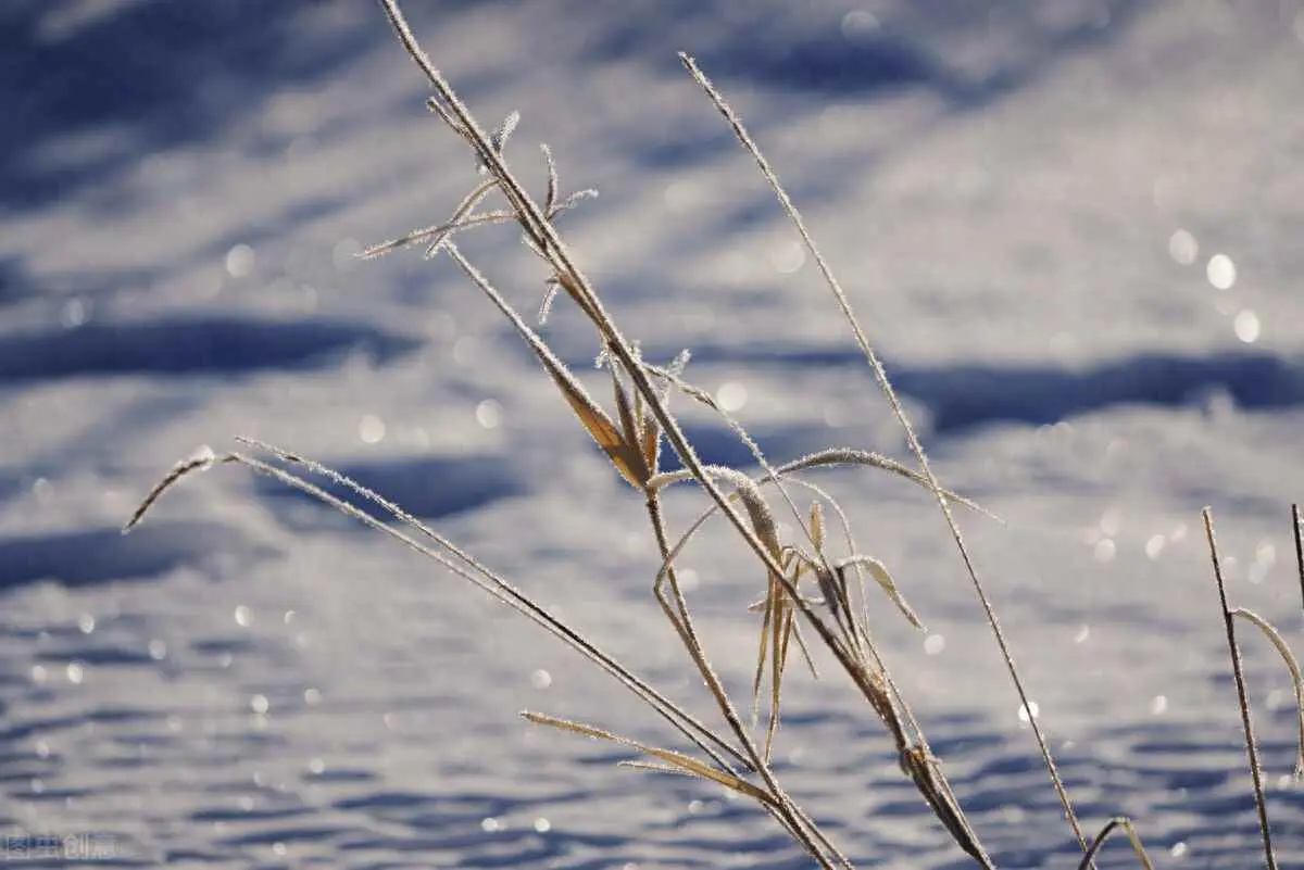 净水器为什么出热水那么小？冬季净水器出水量小怎么办？